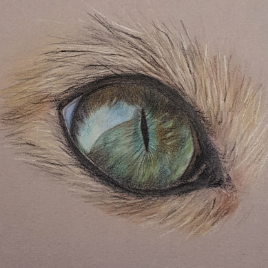 cat eye sketch