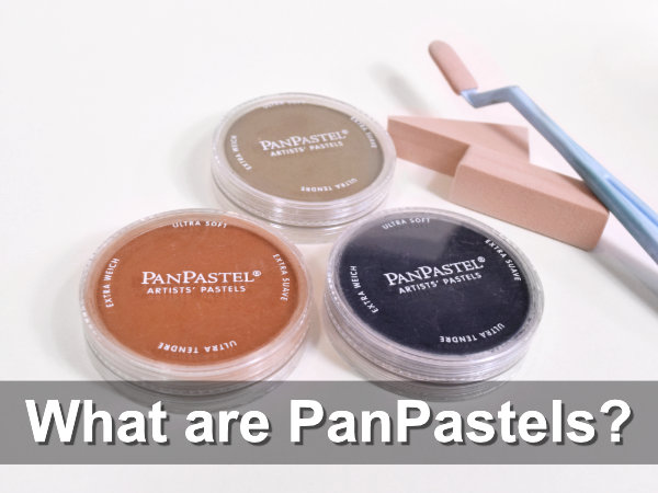 How to Use PanPastels with Traditional Soft Pastels