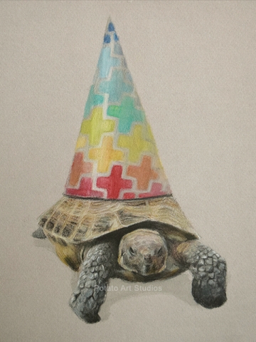 Tortoise Party Hat Portrait Drawing Colored Pencil Coloredpencil Prismacolor Potato Art Studios